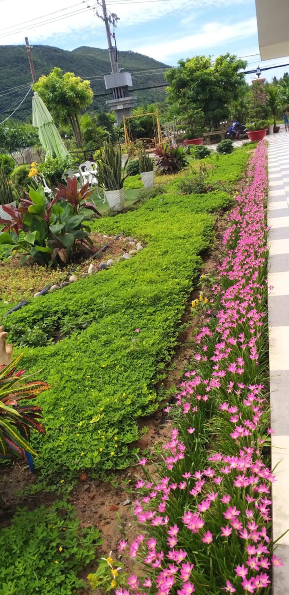 אפרטהוטל Chi Khu Co Ong Garden House Con Dao מראה חיצוני תמונה